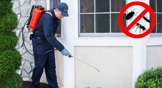 Bornova Böcek ve Haşere İlaçlama böcek ilaçlama ve haşere kontrolü — ilaclama-tr.com